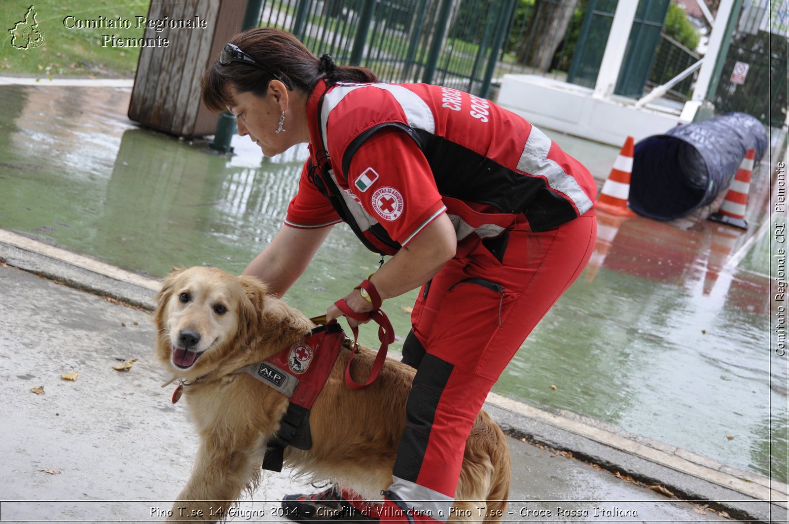 Pino T.se 14 Giugno 2014 - Cinofili di Villardora a Pino T.se - Croce Rossa Italiana- Comitato Regionale del Piemonte