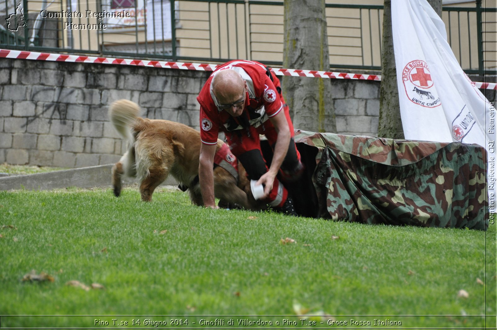 Pino T.se 14 Giugno 2014 - Cinofili di Villardora a Pino T.se - Croce Rossa Italiana- Comitato Regionale del Piemonte