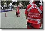 Pino T.se 14 Giugno 2014 - Cinofili di Villardora a Pino T.se - Croce Rossa Italiana- Comitato Regionale del Piemonte