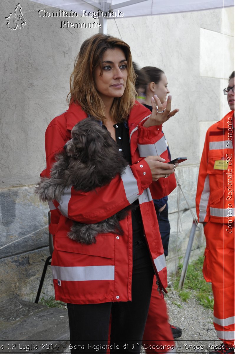 Vinadio 12 Luglio 2014 - Gara Regionale di 1 Soccorso - Croce Rossa Italiana- Comitato Regionale del Piemonte