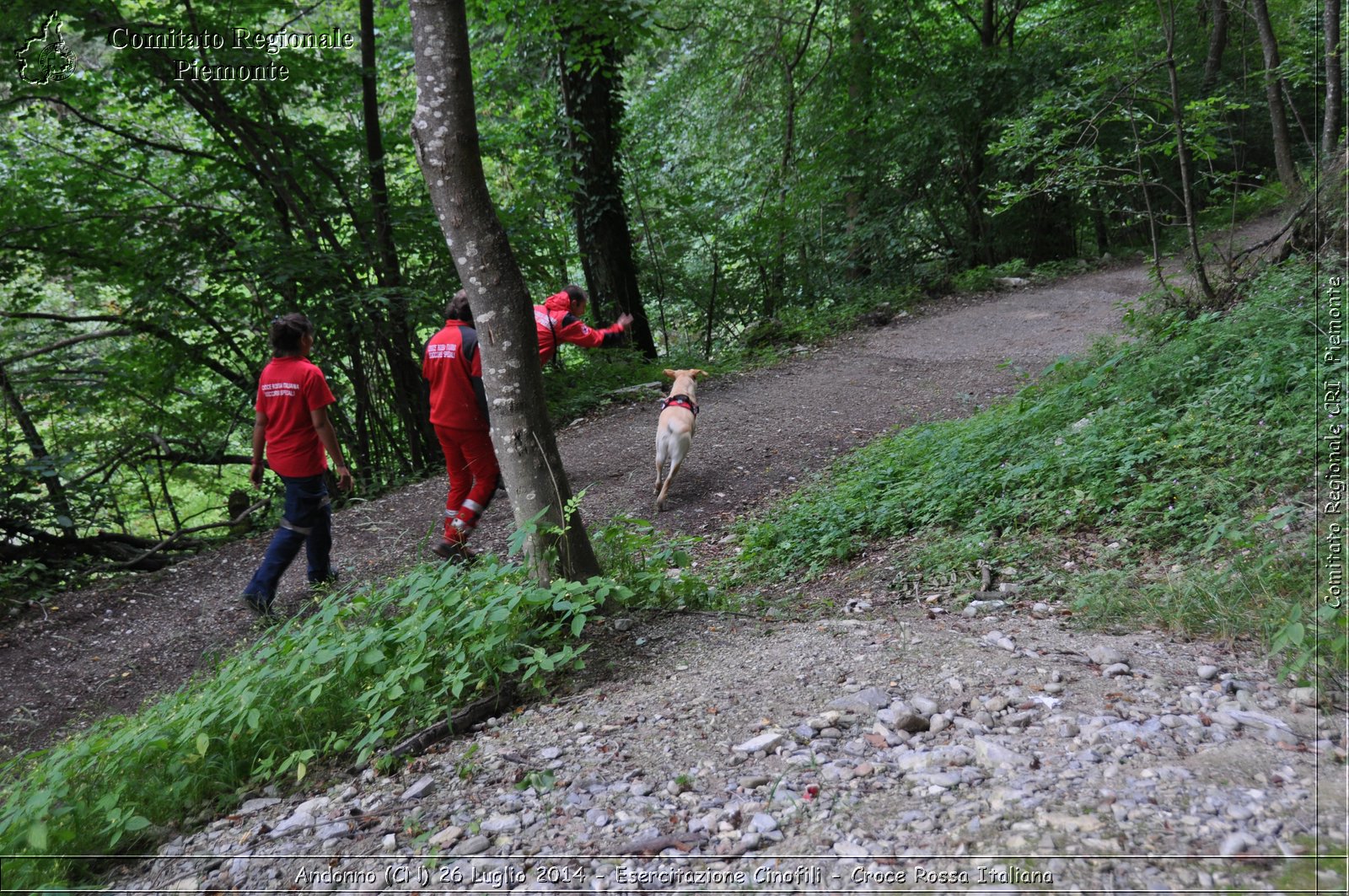 Andonno (Cn) 26 Luglio 2014 - Esercitazione Cinofili - Croce Rossa Italiana- Comitato Regionale del Piemonte