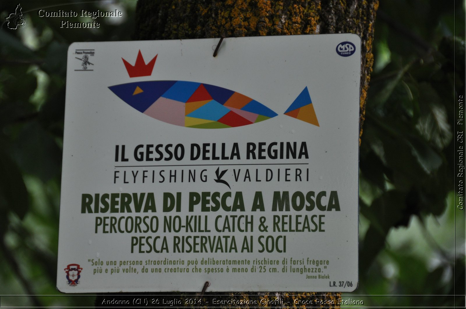 Andonno (Cn) 26 Luglio 2014 - Esercitazione Cinofili - Croce Rossa Italiana- Comitato Regionale del Piemonte