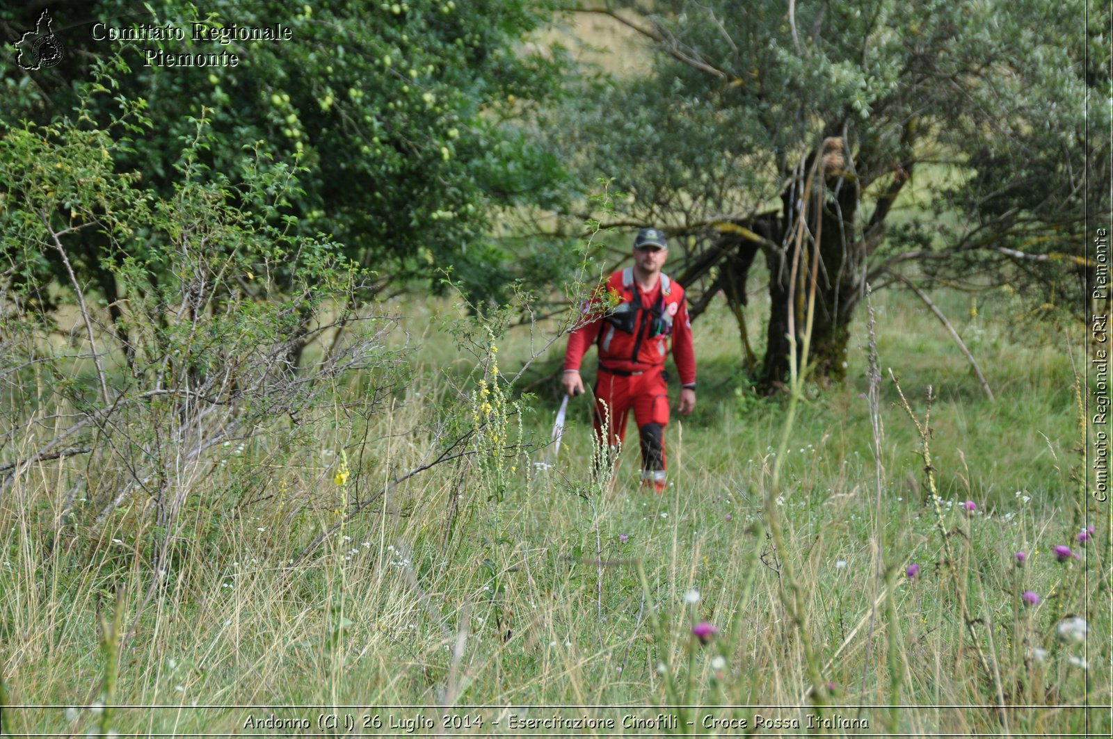 Andonno (Cn) 26 Luglio 2014 - Esercitazione Cinofili - Croce Rossa Italiana- Comitato Regionale del Piemonte