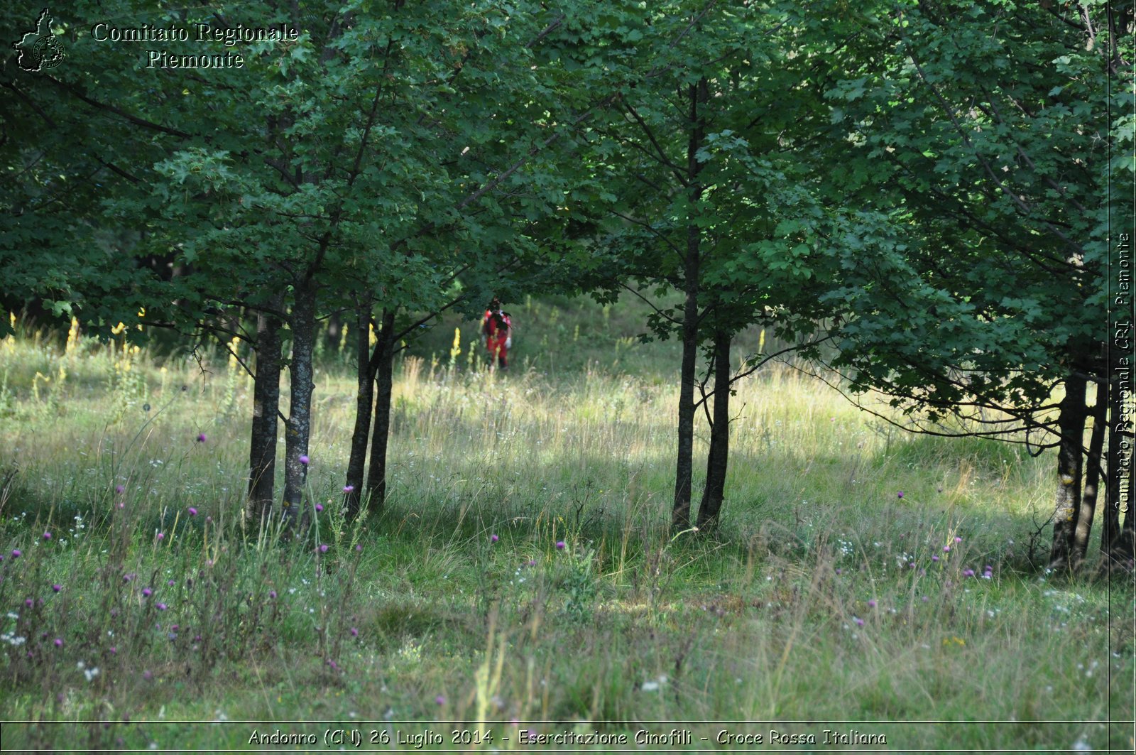 Andonno (Cn) 26 Luglio 2014 - Esercitazione Cinofili - Croce Rossa Italiana- Comitato Regionale del Piemonte