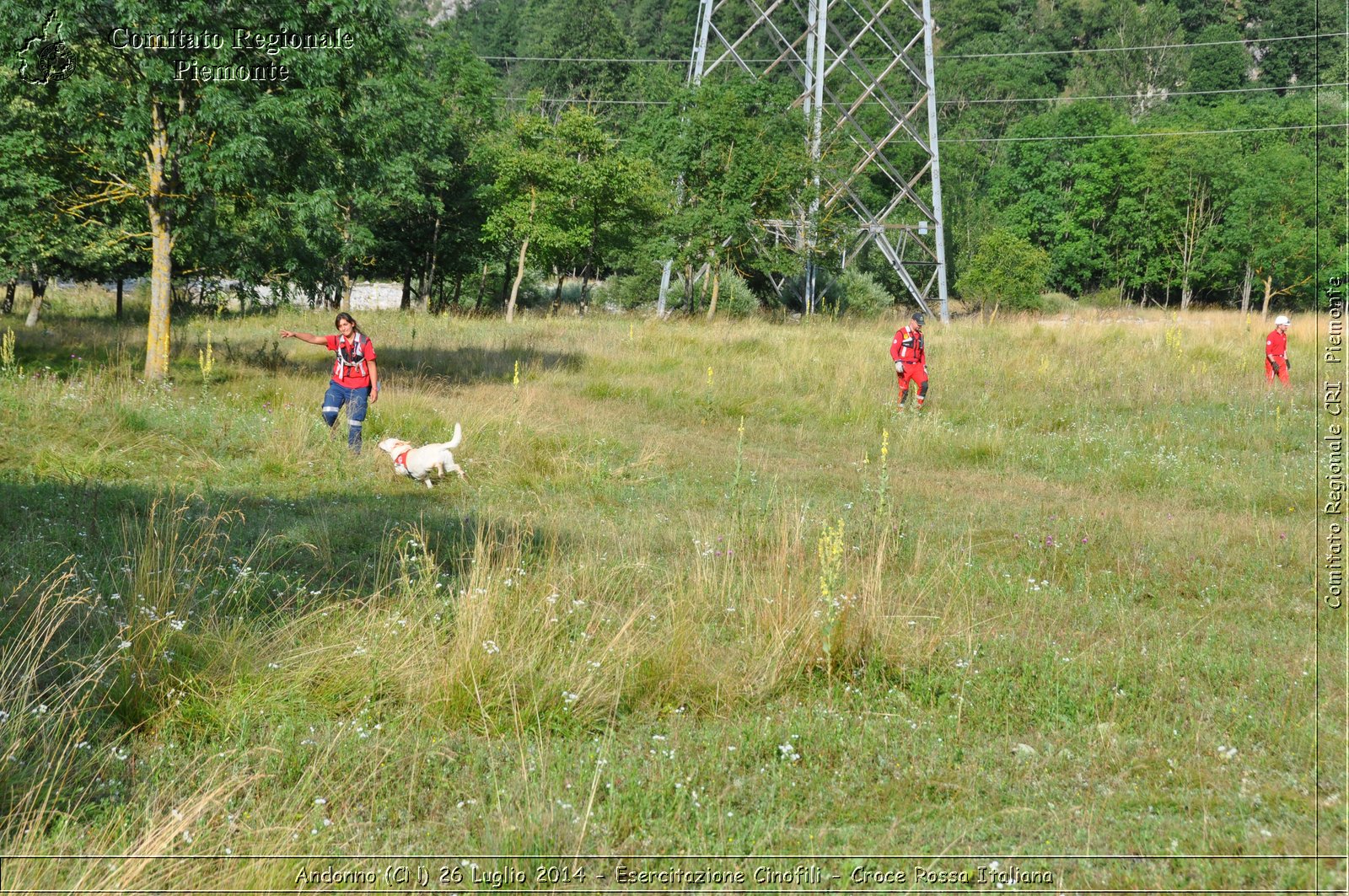 Andonno (Cn) 26 Luglio 2014 - Esercitazione Cinofili - Croce Rossa Italiana- Comitato Regionale del Piemonte