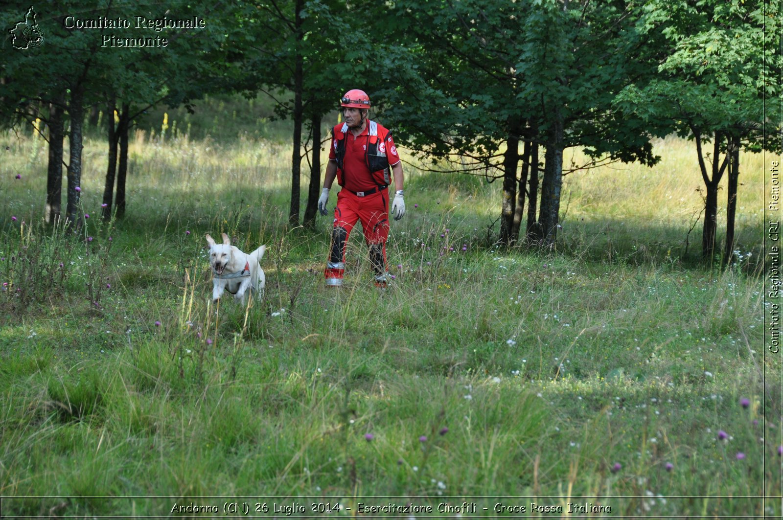 Andonno (Cn) 26 Luglio 2014 - Esercitazione Cinofili - Croce Rossa Italiana- Comitato Regionale del Piemonte