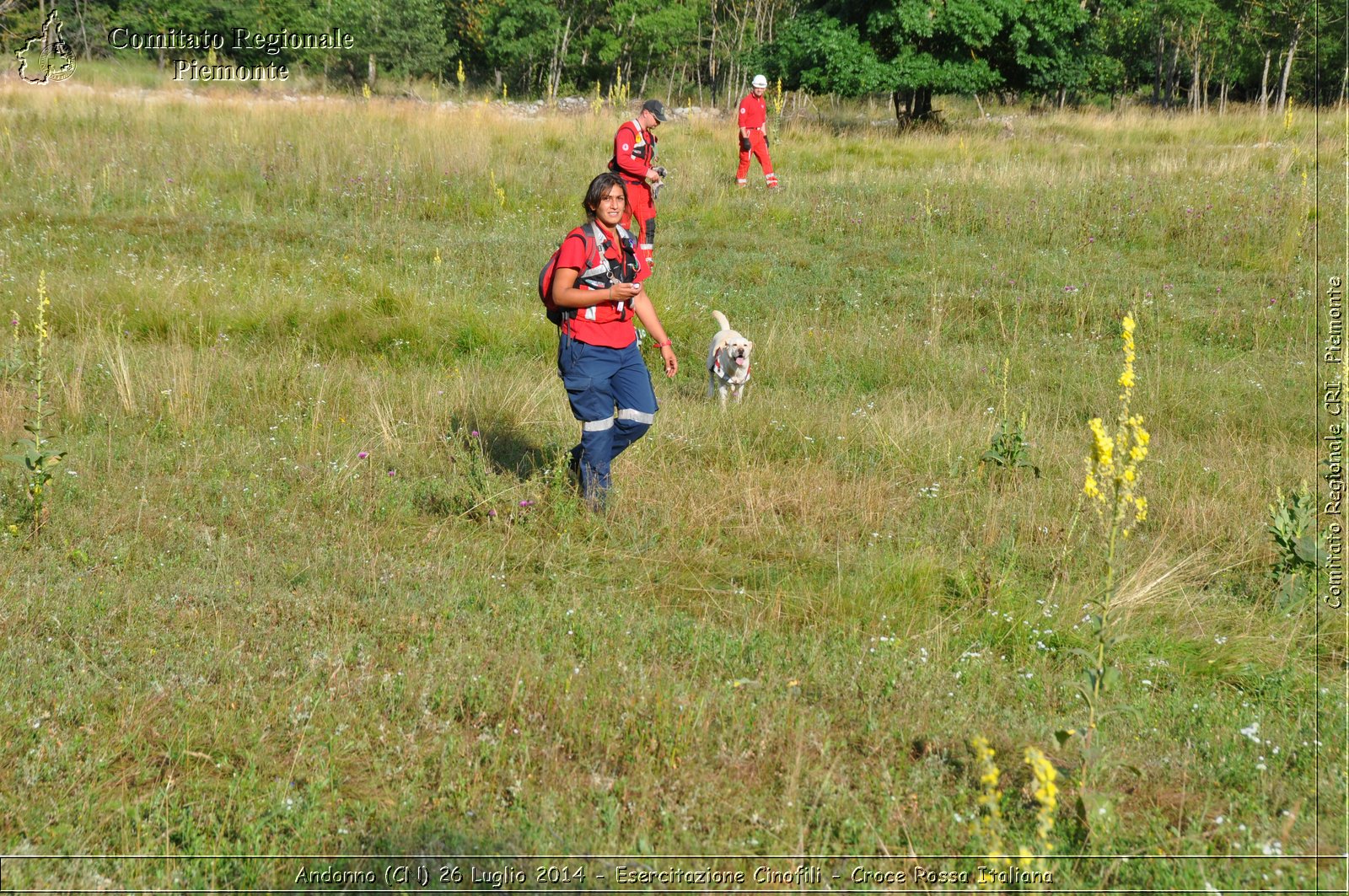 Andonno (Cn) 26 Luglio 2014 - Esercitazione Cinofili - Croce Rossa Italiana- Comitato Regionale del Piemonte