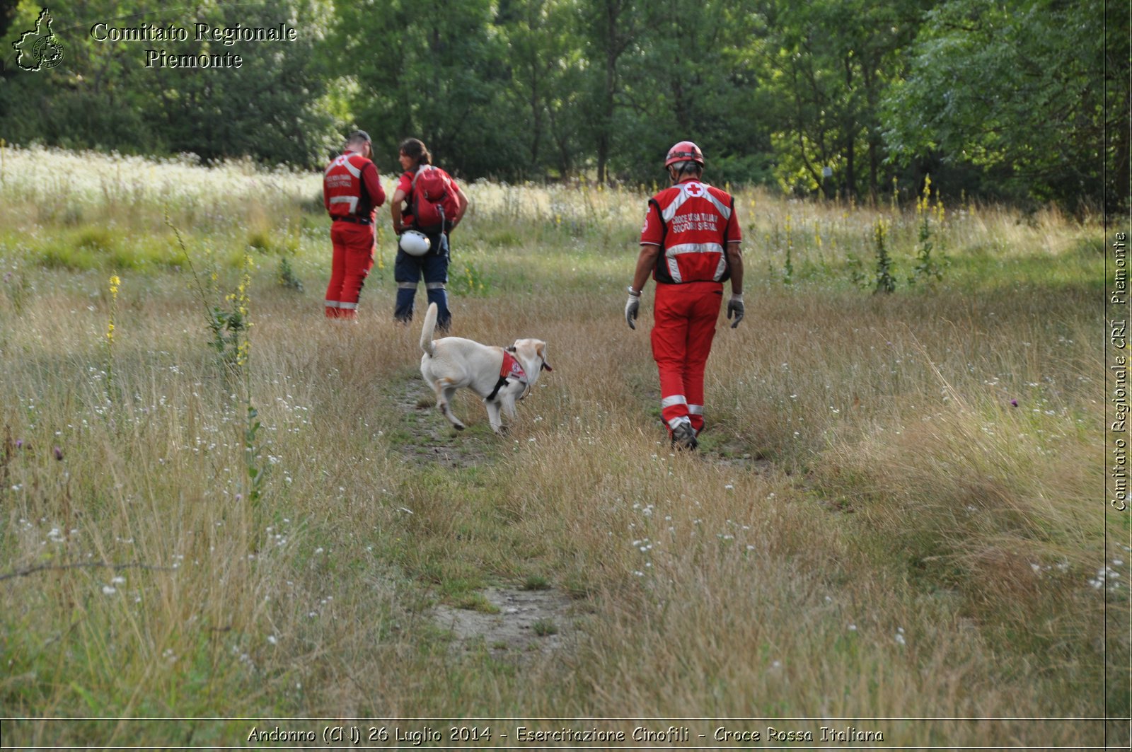 Andonno (Cn) 26 Luglio 2014 - Esercitazione Cinofili - Croce Rossa Italiana- Comitato Regionale del Piemonte