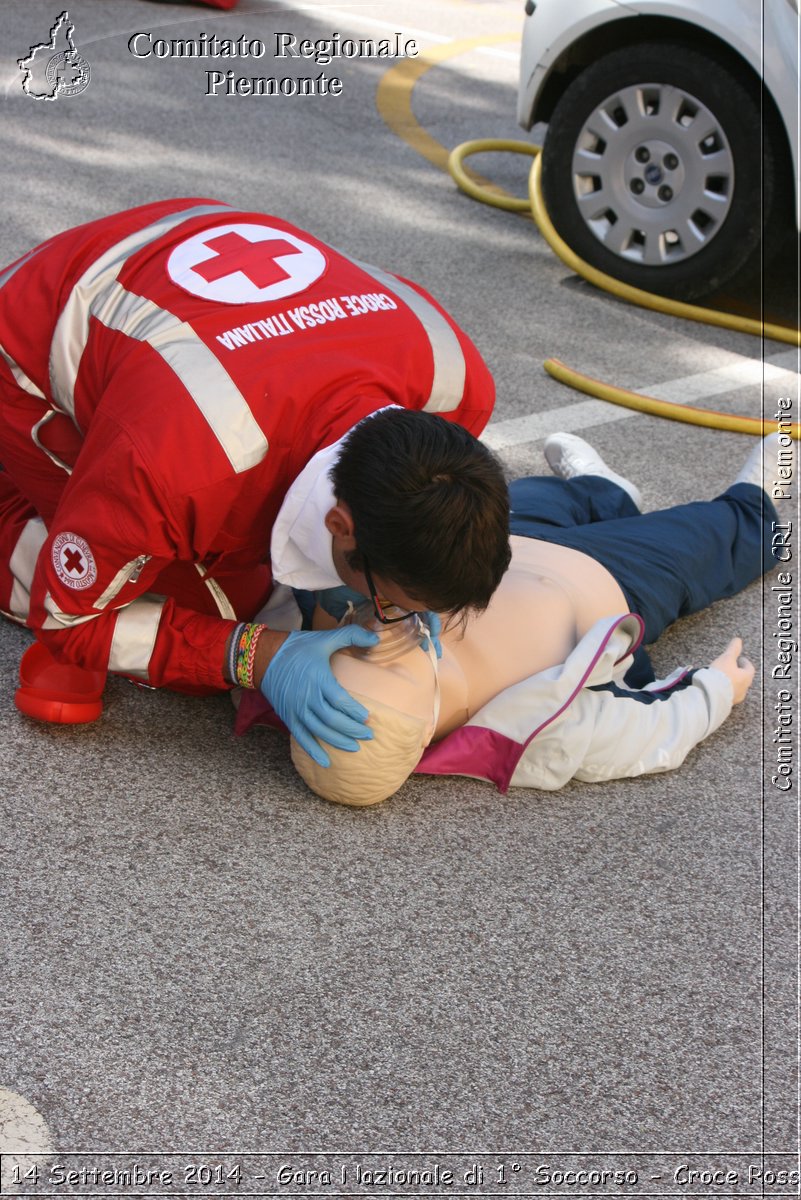 Rovereto 14 Settembre 2014 - Gara Nazionale di 1 Soccorso - Croce Rossa Italiana- Comitato Regionale del Piemonte