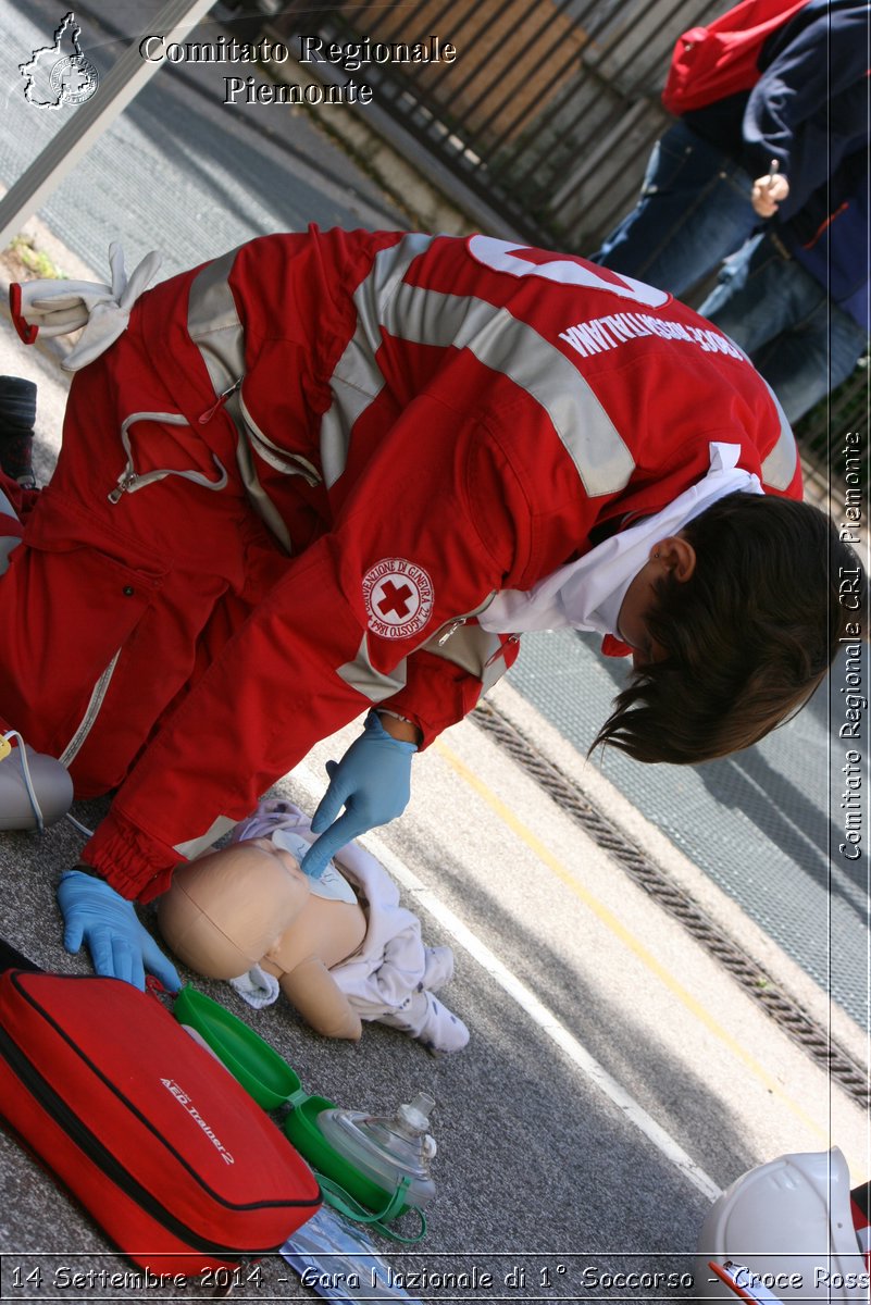 Rovereto 14 Settembre 2014 - Gara Nazionale di 1 Soccorso - Croce Rossa Italiana- Comitato Regionale del Piemonte