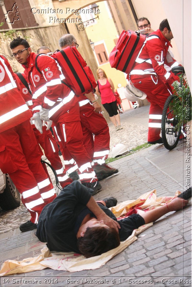 Rovereto 14 Settembre 2014 - Gara Nazionale di 1 Soccorso - Croce Rossa Italiana- Comitato Regionale del Piemonte