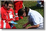 Rovereto 14 Settembre 2014 - Gara Nazionale di 1 Soccorso - Croce Rossa Italiana- Comitato Regionale del Piemonte