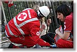 Rovereto 14 Settembre 2014 - Gara Nazionale di 1 Soccorso - Croce Rossa Italiana- Comitato Regionale del Piemonte