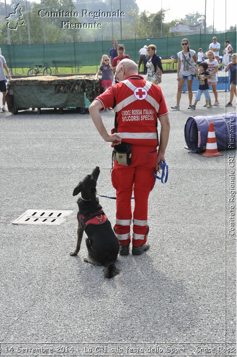 Pino T.se 14 Settembre 2014 - La CRI alla festa dello Sport - Croce Rossa Italiana- Comitato Regionale del Piemonte