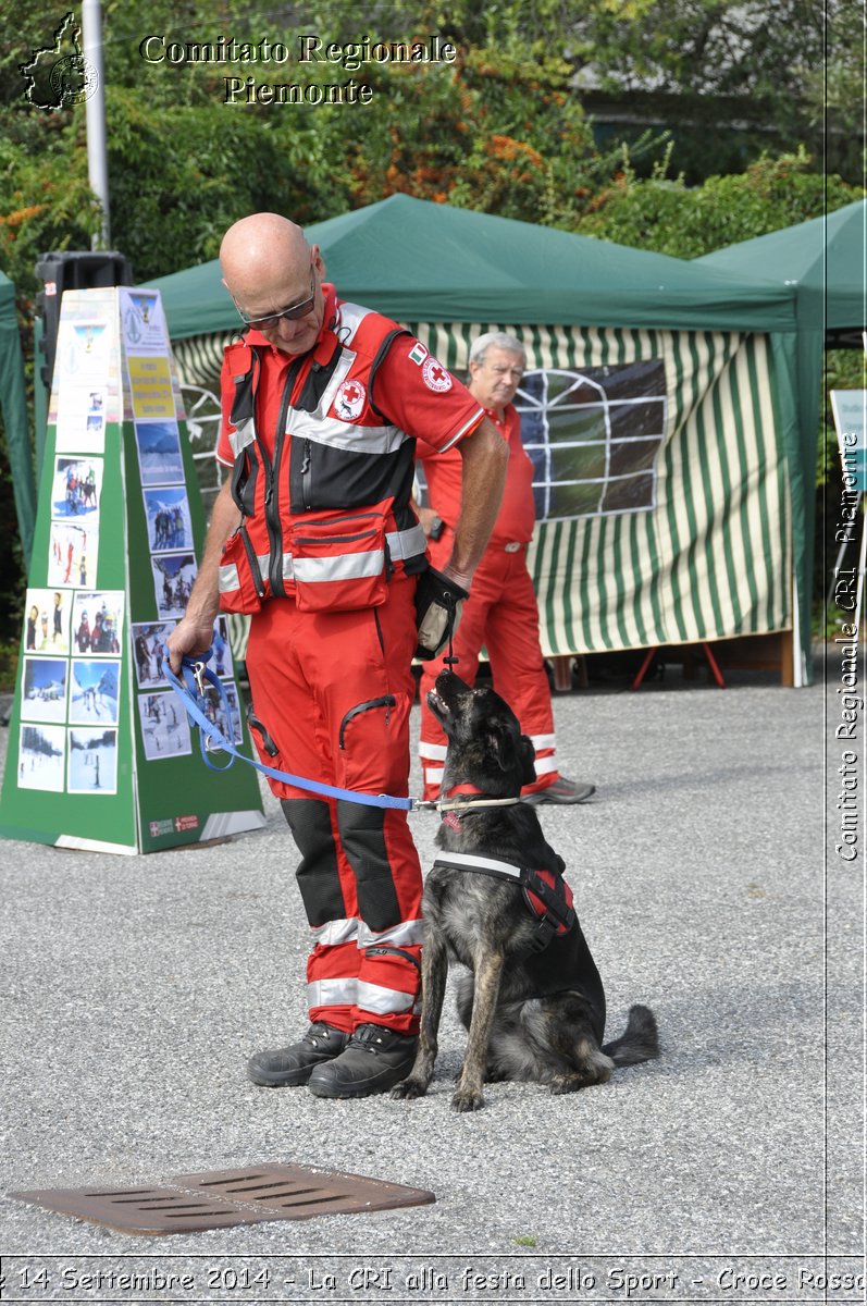 Pino T.se 14 Settembre 2014 - La CRI alla festa dello Sport - Croce Rossa Italiana- Comitato Regionale del Piemonte