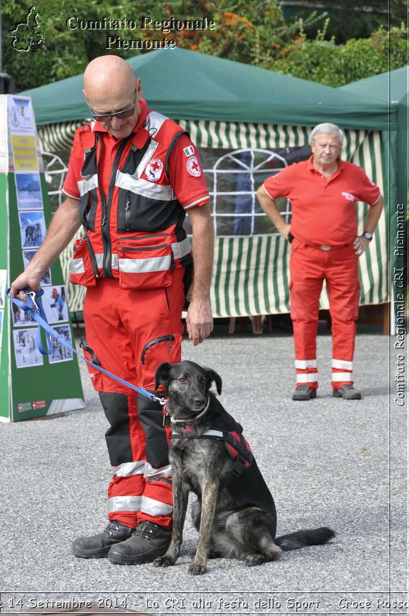 Pino T.se 14 Settembre 2014 - La CRI alla festa dello Sport - Croce Rossa Italiana- Comitato Regionale del Piemonte