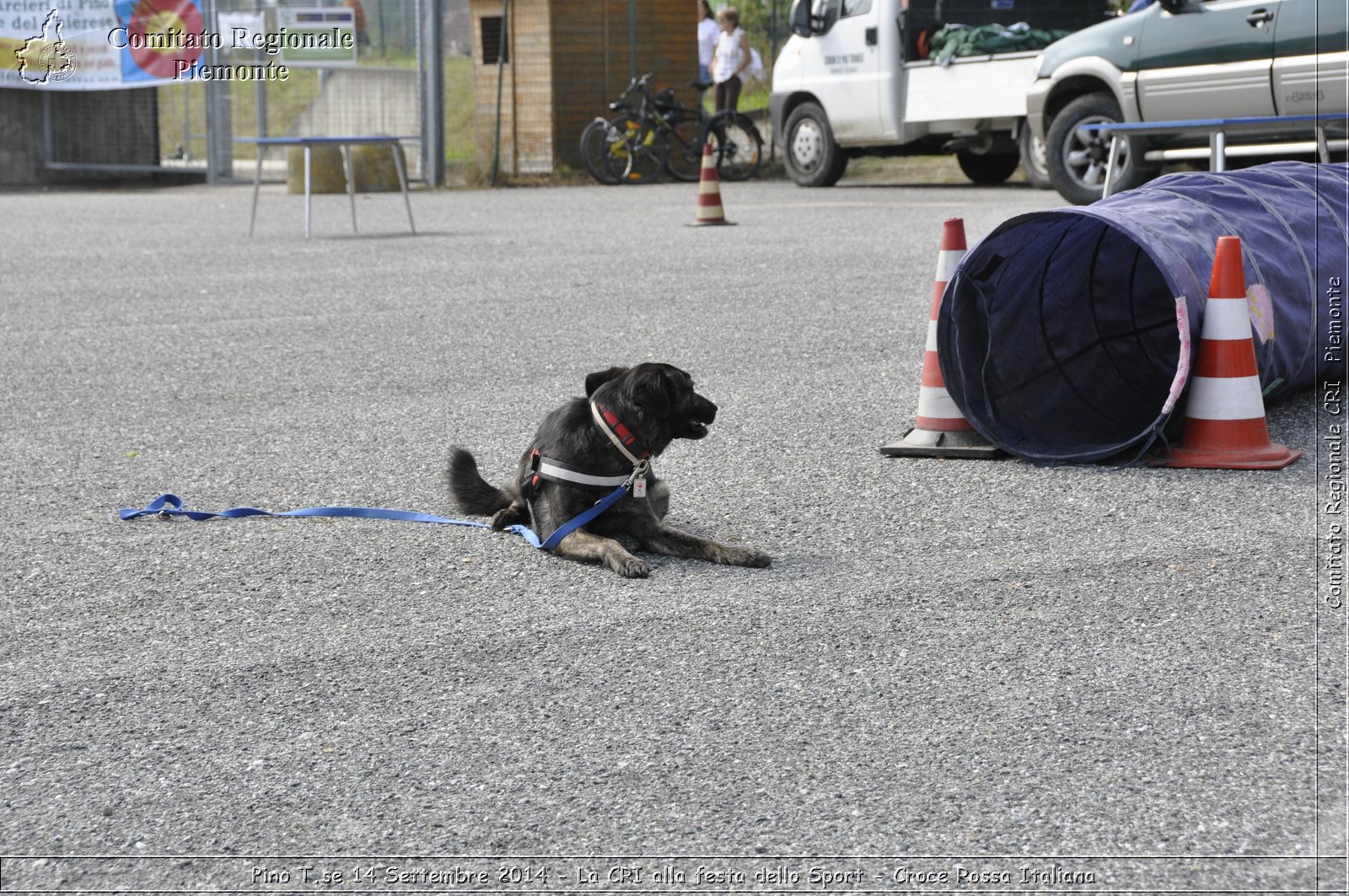 Pino T.se 14 Settembre 2014 - La CRI alla festa dello Sport - Croce Rossa Italiana- Comitato Regionale del Piemonte