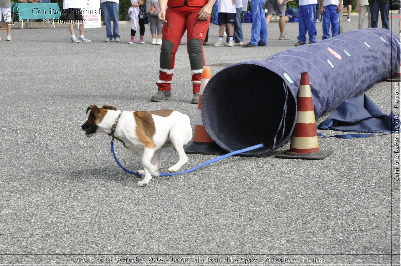 Pino T.se 14 Settembre 2014 - La CRI alla festa dello Sport - Croce Rossa Italiana- Comitato Regionale del Piemonte