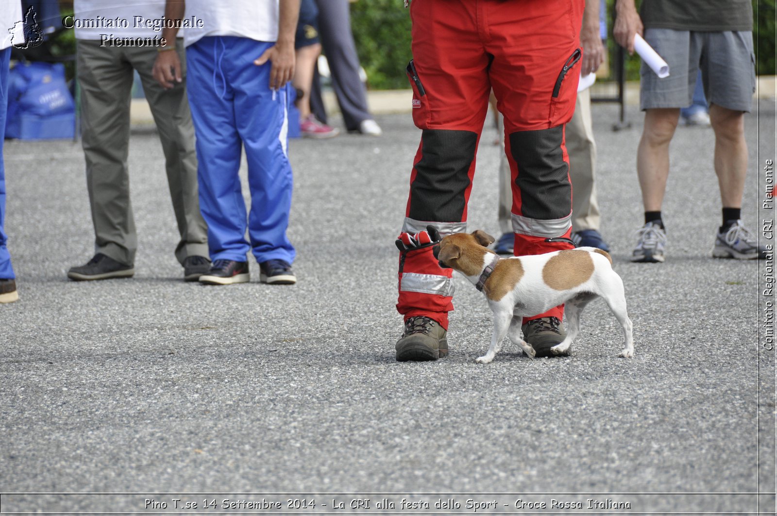 Pino T.se 14 Settembre 2014 - La CRI alla festa dello Sport - Croce Rossa Italiana- Comitato Regionale del Piemonte