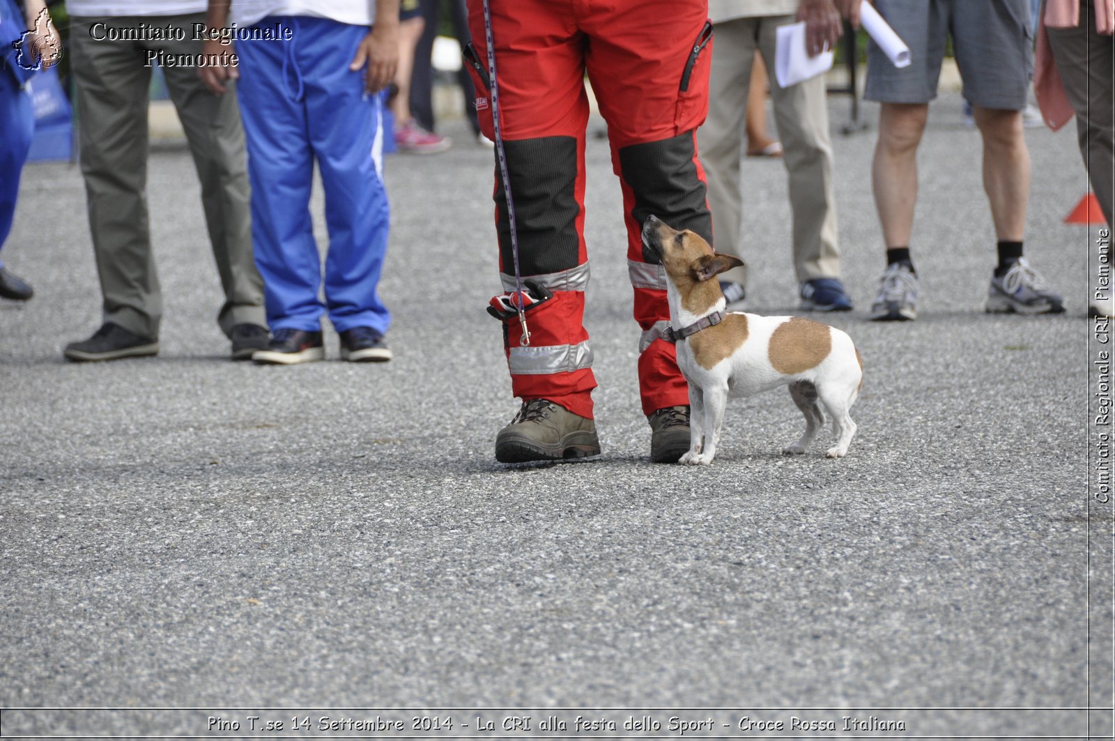 Pino T.se 14 Settembre 2014 - La CRI alla festa dello Sport - Croce Rossa Italiana- Comitato Regionale del Piemonte