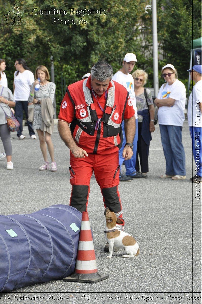 Pino T.se 14 Settembre 2014 - La CRI alla festa dello Sport - Croce Rossa Italiana- Comitato Regionale del Piemonte