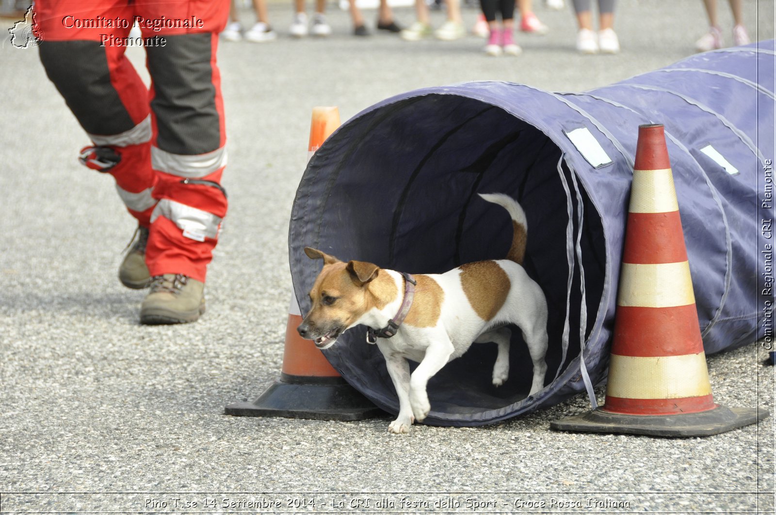 Pino T.se 14 Settembre 2014 - La CRI alla festa dello Sport - Croce Rossa Italiana- Comitato Regionale del Piemonte