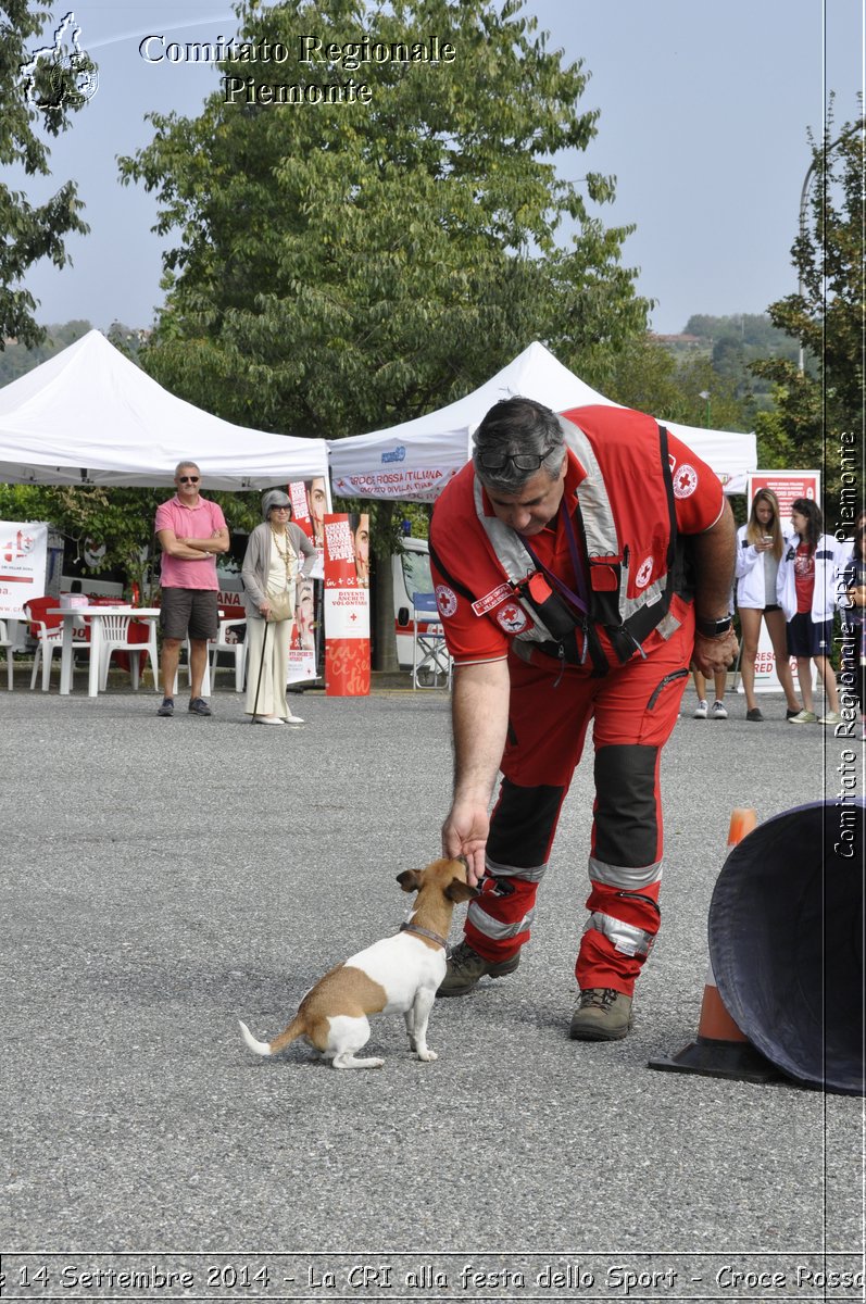 Pino T.se 14 Settembre 2014 - La CRI alla festa dello Sport - Croce Rossa Italiana- Comitato Regionale del Piemonte