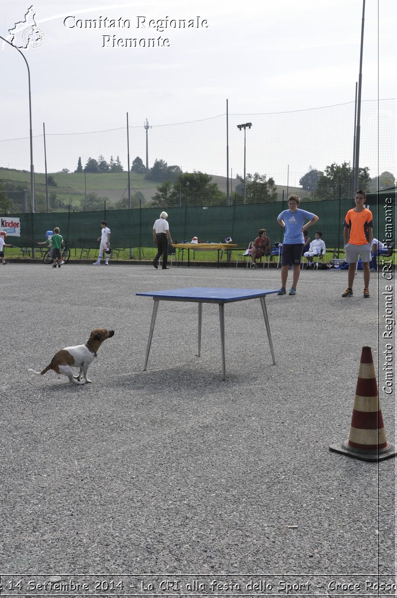 Pino T.se 14 Settembre 2014 - La CRI alla festa dello Sport - Croce Rossa Italiana- Comitato Regionale del Piemonte