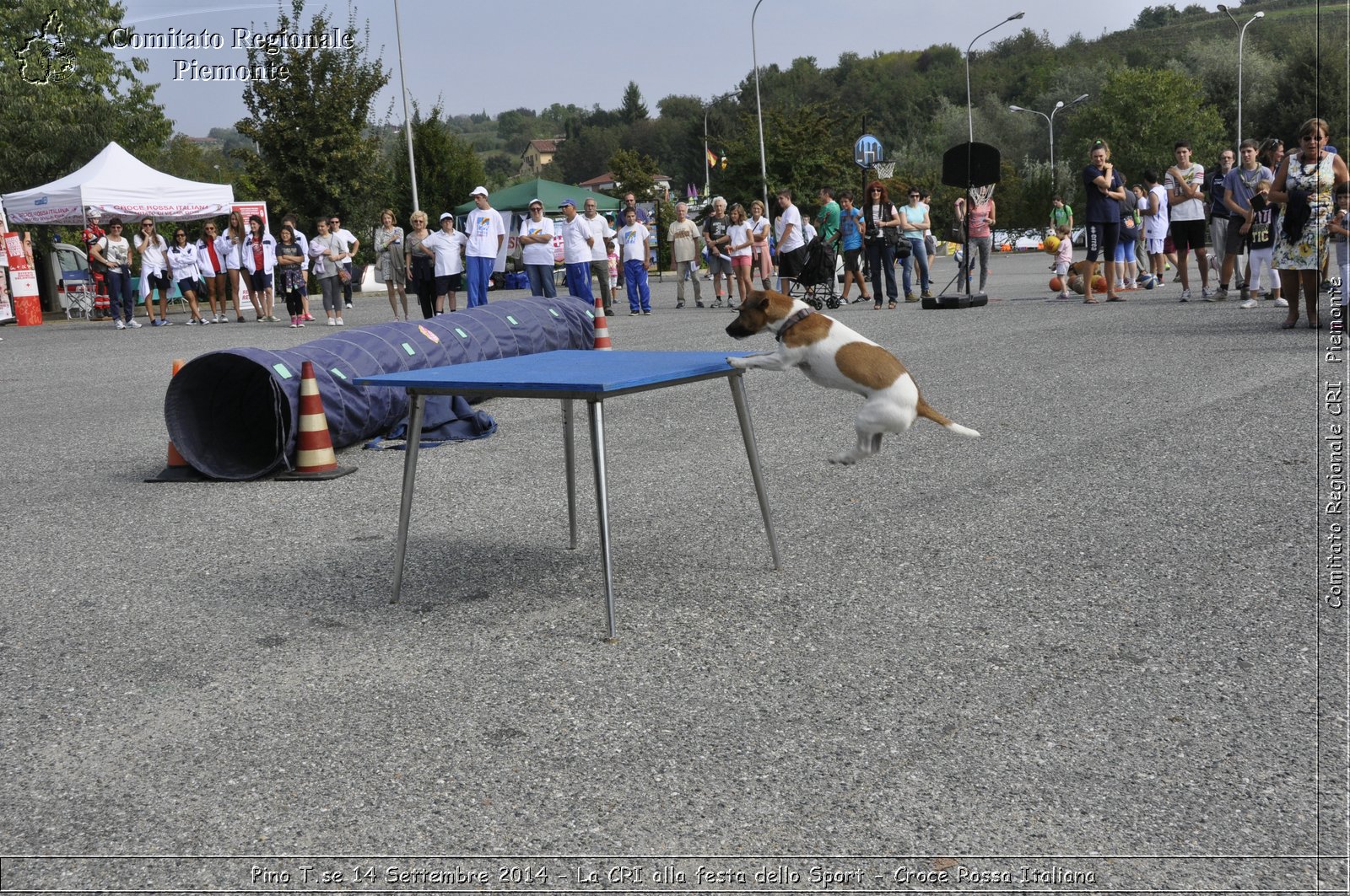 Pino T.se 14 Settembre 2014 - La CRI alla festa dello Sport - Croce Rossa Italiana- Comitato Regionale del Piemonte