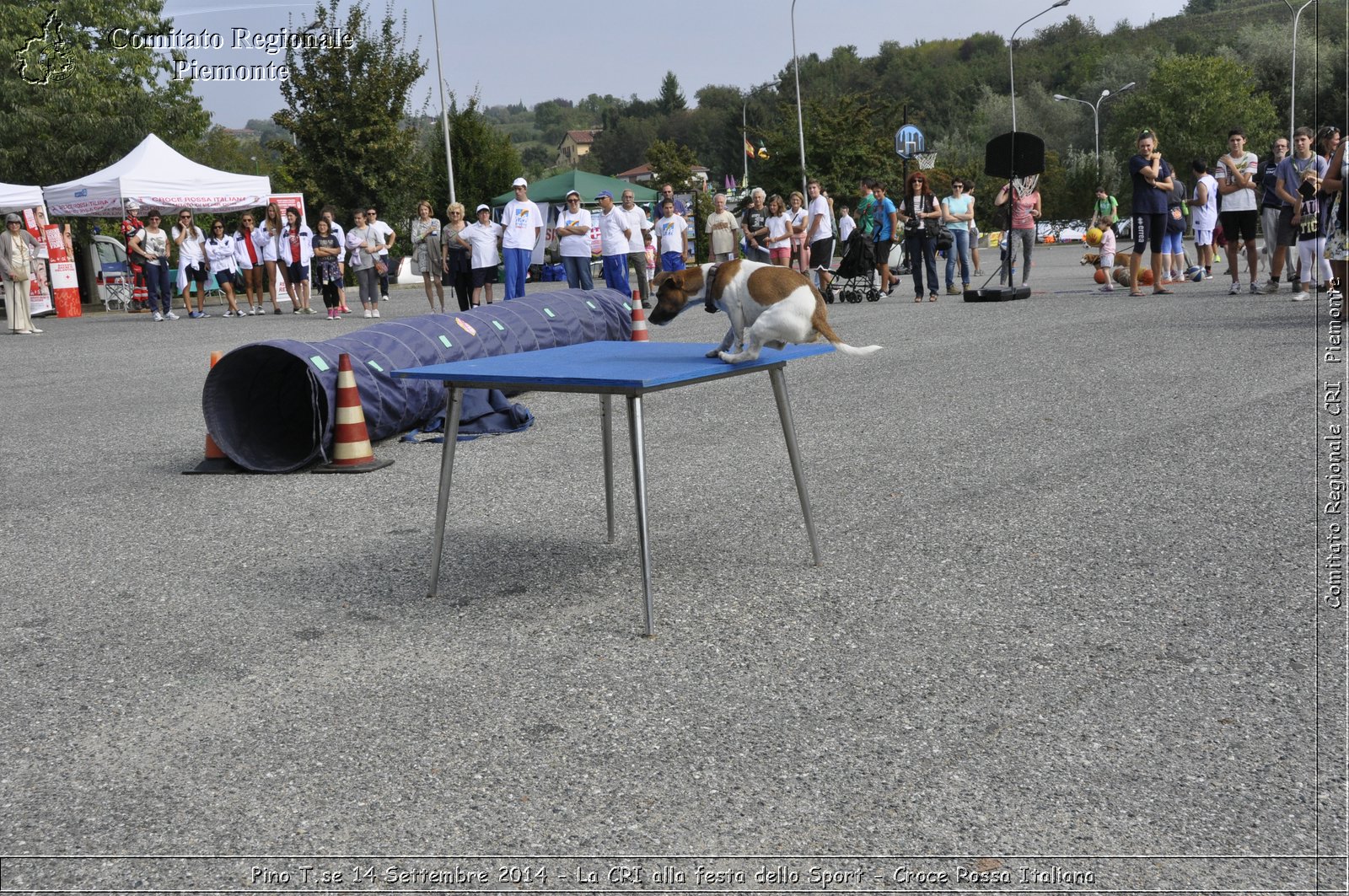 Pino T.se 14 Settembre 2014 - La CRI alla festa dello Sport - Croce Rossa Italiana- Comitato Regionale del Piemonte