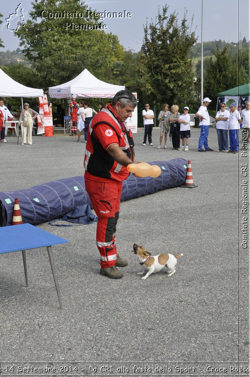 Pino T.se 14 Settembre 2014 - La CRI alla festa dello Sport - Croce Rossa Italiana- Comitato Regionale del Piemonte