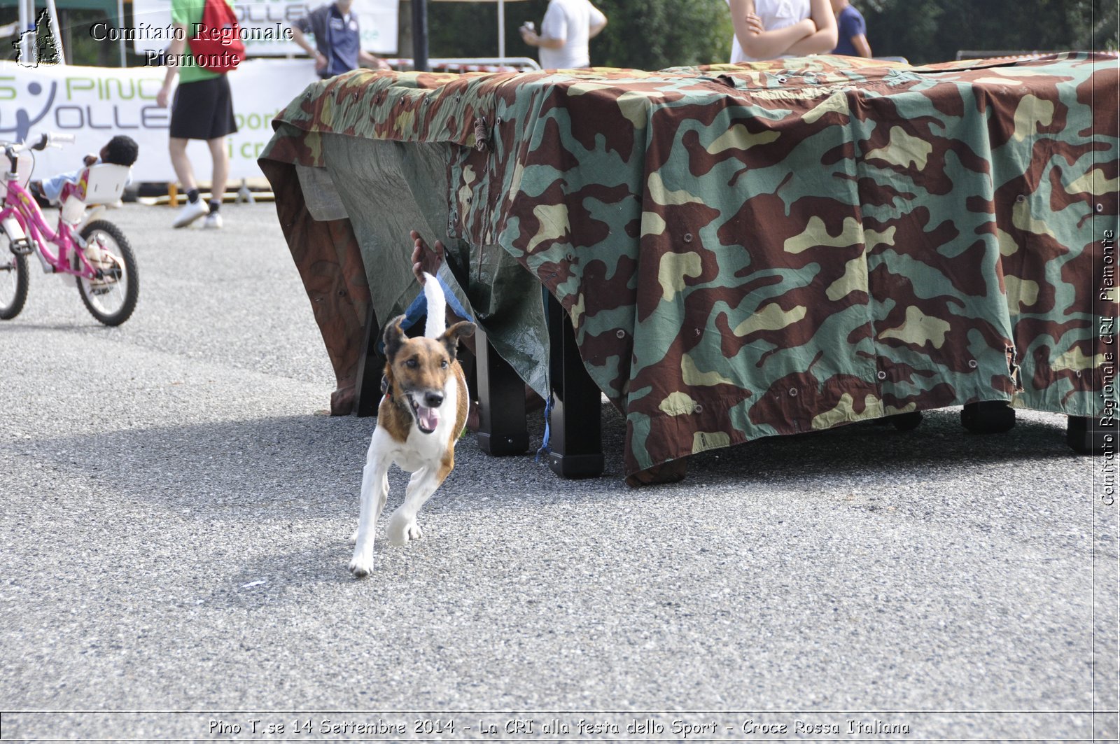 Pino T.se 14 Settembre 2014 - La CRI alla festa dello Sport - Croce Rossa Italiana- Comitato Regionale del Piemonte