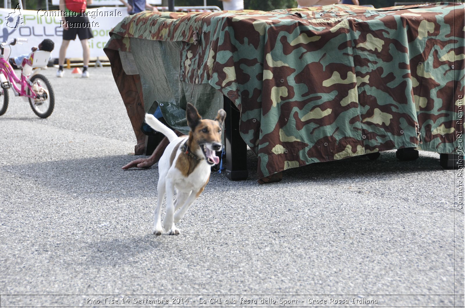 Pino T.se 14 Settembre 2014 - La CRI alla festa dello Sport - Croce Rossa Italiana- Comitato Regionale del Piemonte