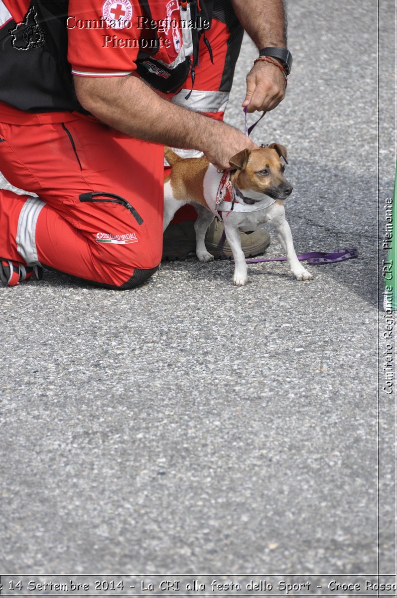 Pino T.se 14 Settembre 2014 - La CRI alla festa dello Sport - Croce Rossa Italiana- Comitato Regionale del Piemonte