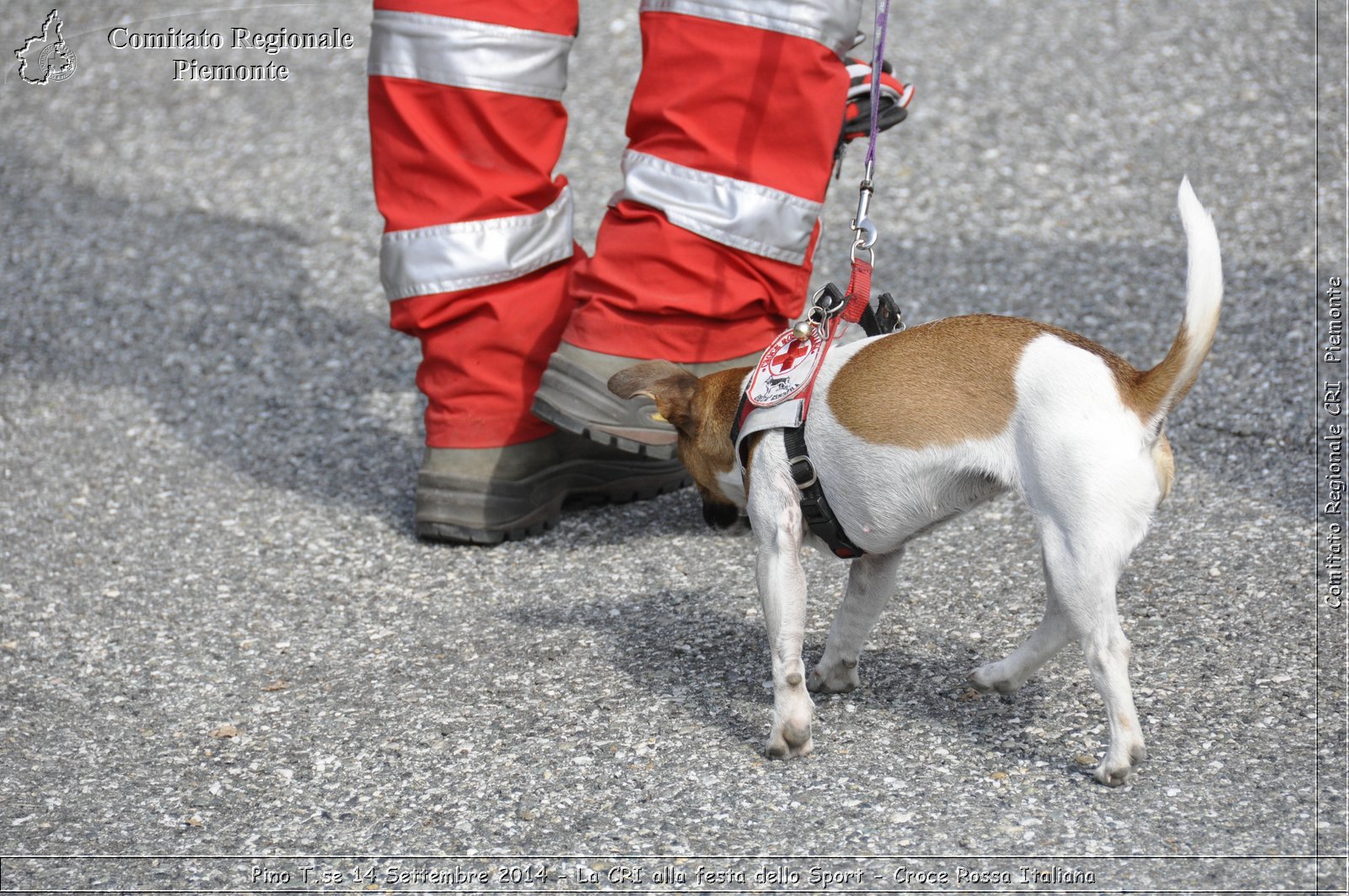 Pino T.se 14 Settembre 2014 - La CRI alla festa dello Sport - Croce Rossa Italiana- Comitato Regionale del Piemonte