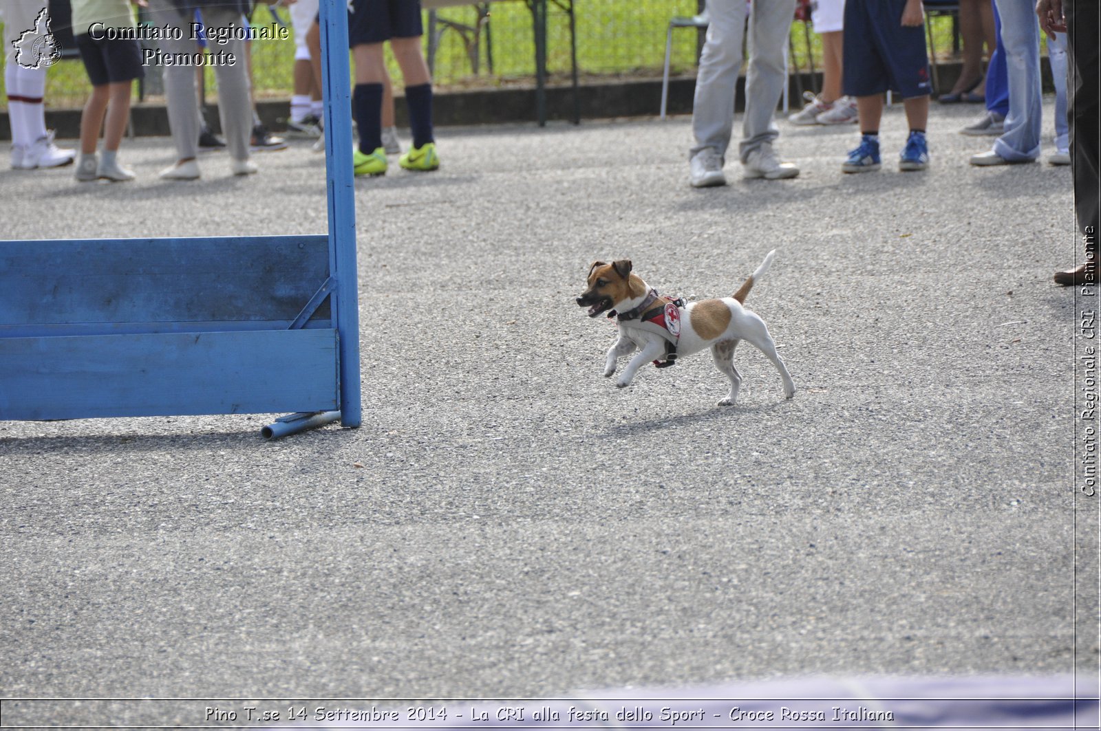 Pino T.se 14 Settembre 2014 - La CRI alla festa dello Sport - Croce Rossa Italiana- Comitato Regionale del Piemonte