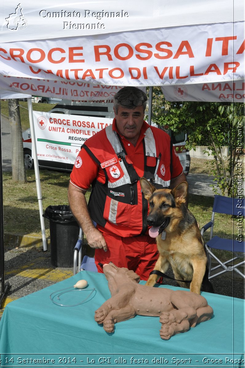 Pino T.se 14 Settembre 2014 - La CRI alla festa dello Sport - Croce Rossa Italiana- Comitato Regionale del Piemonte