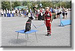 Pino T.se 14 Settembre 2014 - La CRI alla festa dello Sport - Croce Rossa Italiana- Comitato Regionale del Piemonte