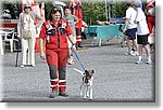 Pino T.se 14 Settembre 2014 - La CRI alla festa dello Sport - Croce Rossa Italiana- Comitato Regionale del Piemonte