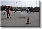 Pino T.se 14 Settembre 2014 - La CRI alla festa dello Sport - Croce Rossa Italiana- Comitato Regionale del Piemonte