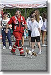 Pino T.se 14 Settembre 2014 - La CRI alla festa dello Sport - Croce Rossa Italiana- Comitato Regionale del Piemonte