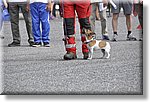 Pino T.se 14 Settembre 2014 - La CRI alla festa dello Sport - Croce Rossa Italiana- Comitato Regionale del Piemonte