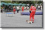 Pino T.se 14 Settembre 2014 - La CRI alla festa dello Sport - Croce Rossa Italiana- Comitato Regionale del Piemonte