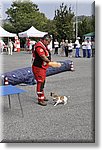 Pino T.se 14 Settembre 2014 - La CRI alla festa dello Sport - Croce Rossa Italiana- Comitato Regionale del Piemonte