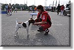 Pino T.se 14 Settembre 2014 - La CRI alla festa dello Sport - Croce Rossa Italiana- Comitato Regionale del Piemonte