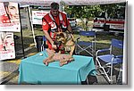 Pino T.se 14 Settembre 2014 - La CRI alla festa dello Sport - Croce Rossa Italiana- Comitato Regionale del Piemonte