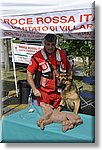 Pino T.se 14 Settembre 2014 - La CRI alla festa dello Sport - Croce Rossa Italiana- Comitato Regionale del Piemonte