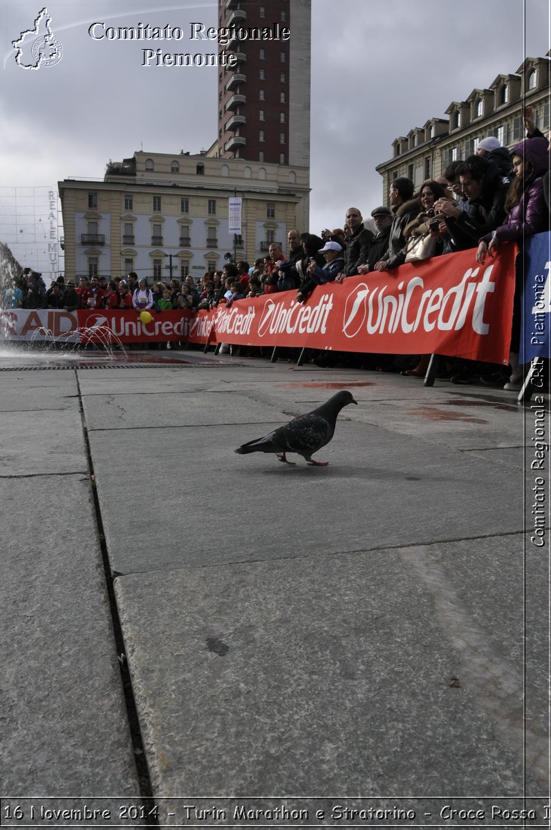 Torino 16 Novembre 2014 - Turin Marathon e Stratorino - Croce Rossa Italiana- Comitato Regionale del Piemonte