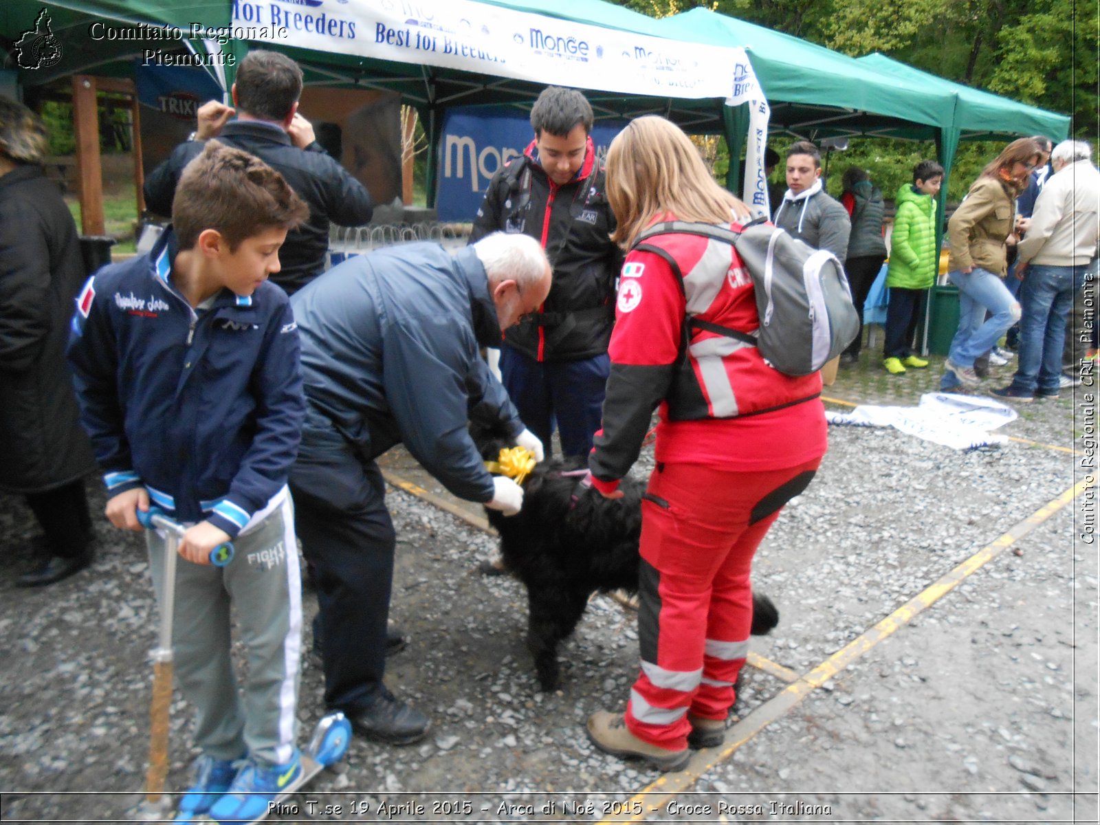 Pino T.se 19 Aprile 2015 - Arca di No 2015 - Croce Rossa Italiana- Comitato Regionale del Piemonte