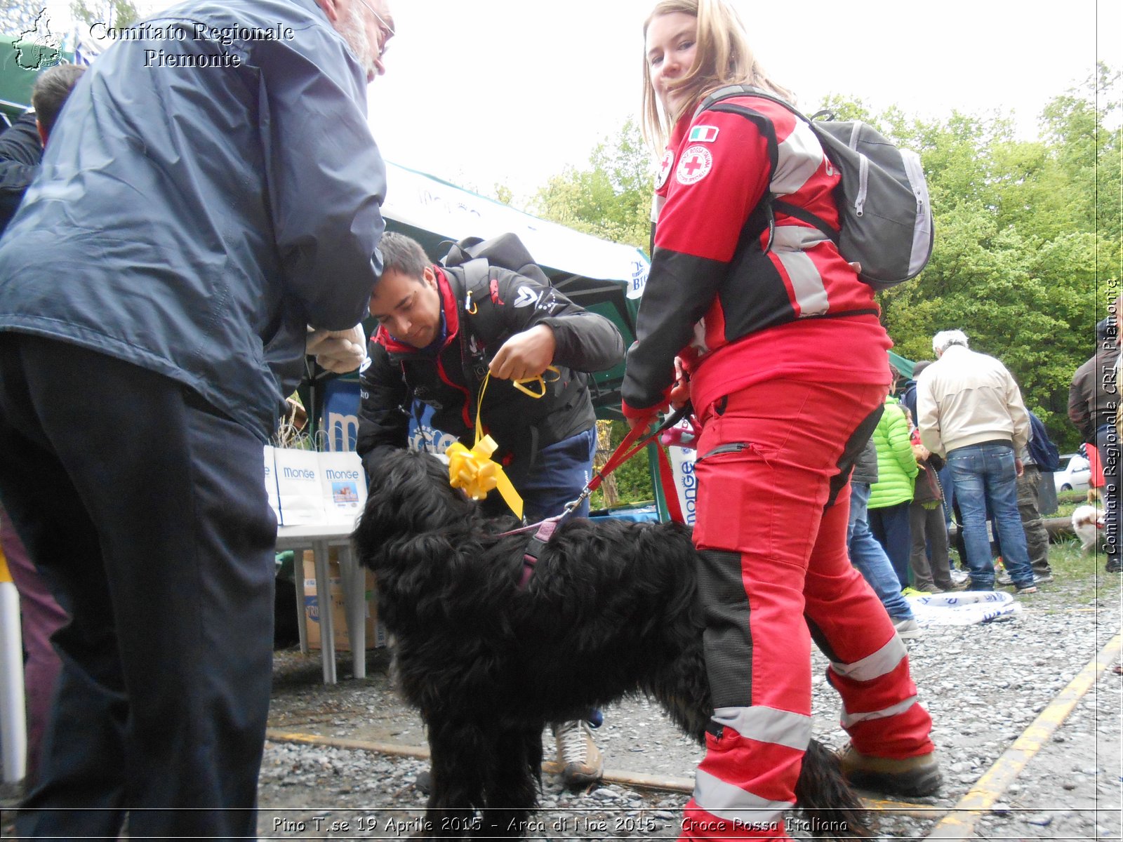 Pino T.se 19 Aprile 2015 - Arca di No 2015 - Croce Rossa Italiana- Comitato Regionale del Piemonte